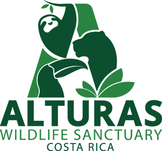 costa rica wildlife tours