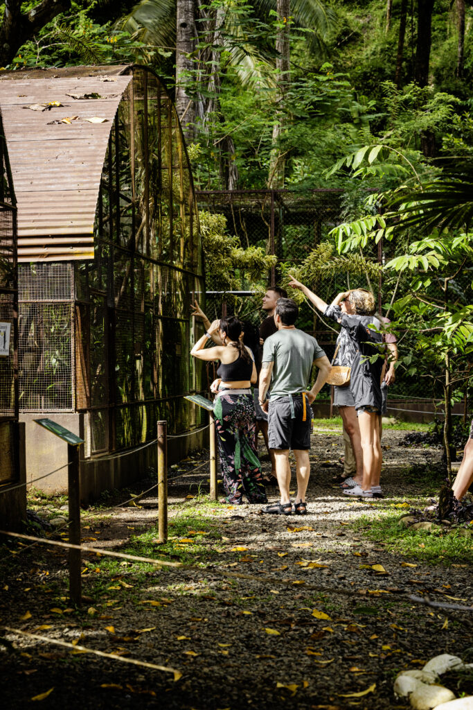 Wildlife rescue tour