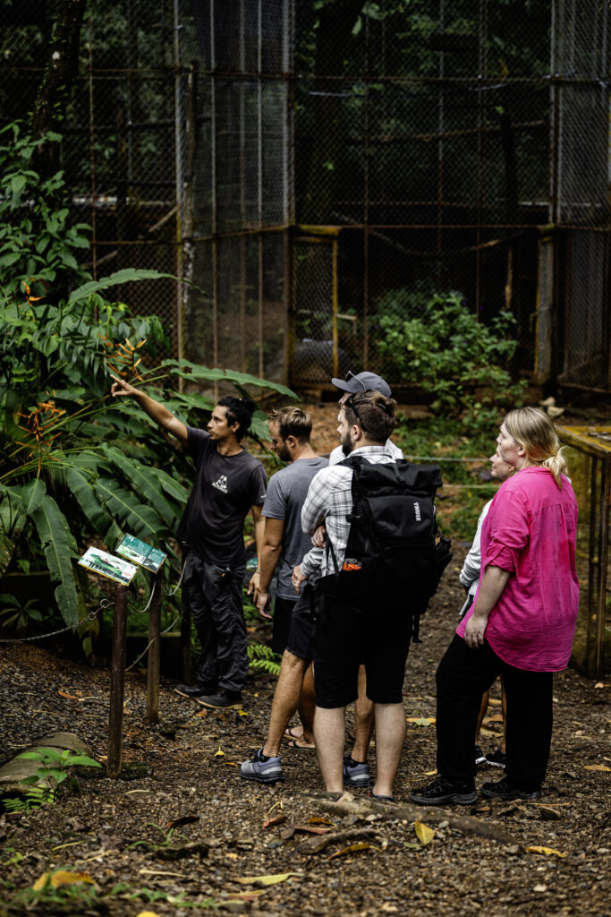 Tour at a wildlife rescue